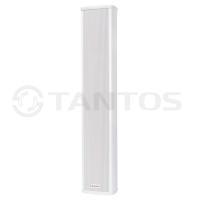 Звуковая колонна TSo-KW30