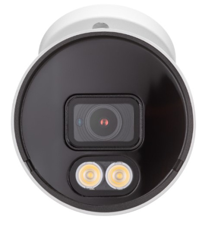 IP-камера 2 Мп с аналитикой SMD RL-IP112P.proT